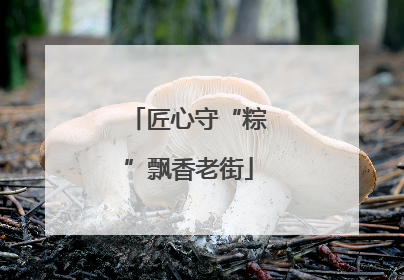 匠心守“粽”飘香老街
