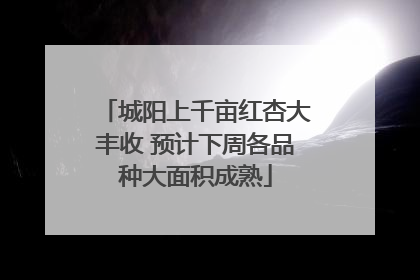 城阳上千亩红杏大丰收 预计下周各品种大面积成熟