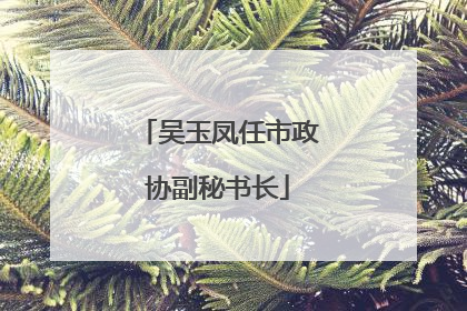 吴玉凤任市政协副秘书长