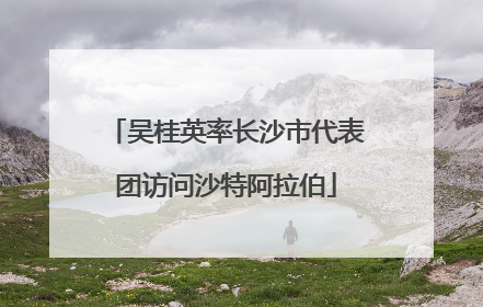 吴桂英率长沙市代表团访问沙特阿拉伯
