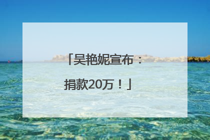 吴艳妮宣布：捐款20万！