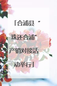 合浦县“珠还合浦”产销对接活动举行
