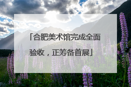合肥美术馆完成全面验收，正筹备首展