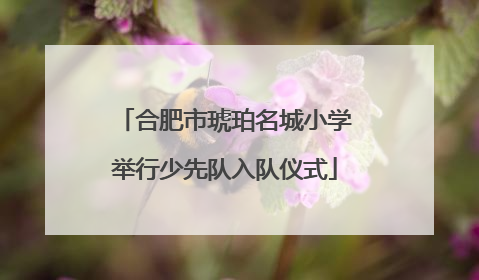 合肥市琥珀名城小学举行少先队入队仪式
