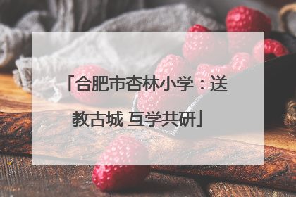 合肥市杏林小学：送教古城 互学共研