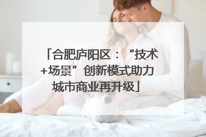 合肥庐阳区：“技术+场景”创新模式助力城市商业再升级