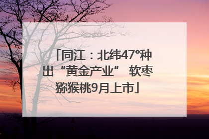 同江：北纬47°种出“黄金产业” 软枣猕猴桃9月上市