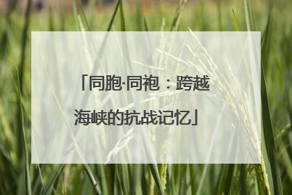 同胞·同袍：跨越海峡的抗战记忆