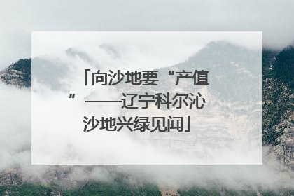向沙地要“产值”——辽宁科尔沁沙地兴绿见闻