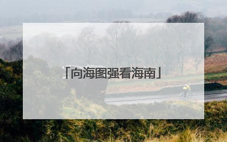 向海图强看海南