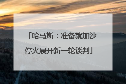 哈马斯：准备就加沙停火展开新一轮谈判