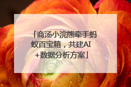 商汤小浣熊牵手蚂蚁百宝箱，共建AI+数据分析方案