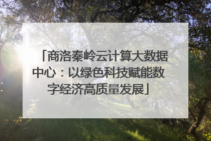 商洛秦岭云计算大数据中心：以绿色科技赋能数字经济高质量发展