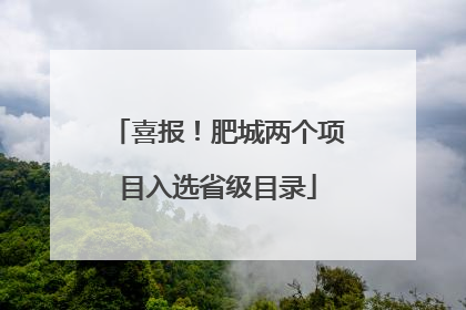 喜报！肥城两个项目入选省级目录