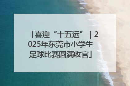 喜迎“十五运”｜2025年东莞市小学生足球比赛圆满收官