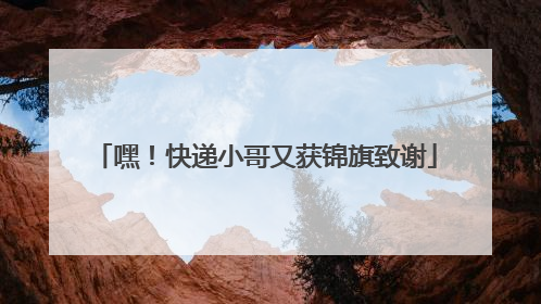 嘿！快递小哥又获锦旗致谢