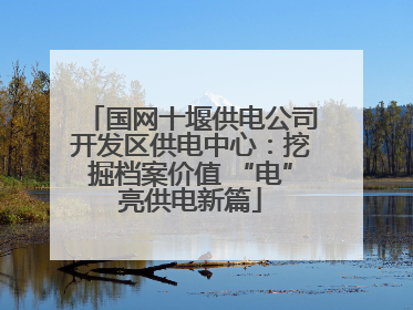 国网十堰供电公司开发区供电中心：挖掘档案价值 “电”亮供电新篇