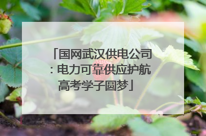 国网武汉供电公司：电力可靠供应护航高考学子圆梦