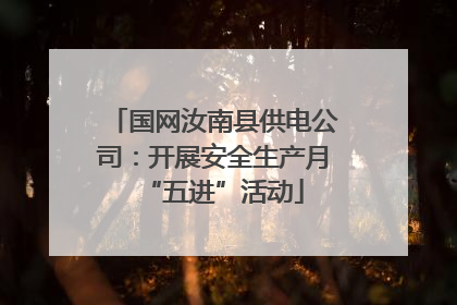 国网汝南县供电公司：开展安全生产月“五进”活动