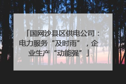 国网沙县区供电公司：电力服务“及时雨”，企业生产“动能强”