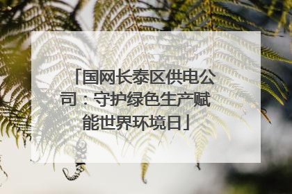 国网长泰区供电公司：守护绿色生产赋能世界环境日
