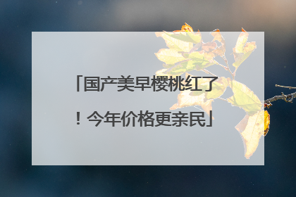 国产美早樱桃红了！今年价格更亲民