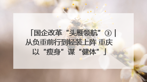 国企改革“头雁领航”③｜从负重前行到轻装上阵 重庆以“瘦身”谋“健体”