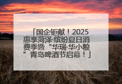 国企钜献！2025惠享菏泽·缤纷夏日消费季暨“华瑞·华小粮”青岛啤酒节启幕！