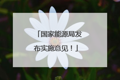 国家能源局发布实施意见！