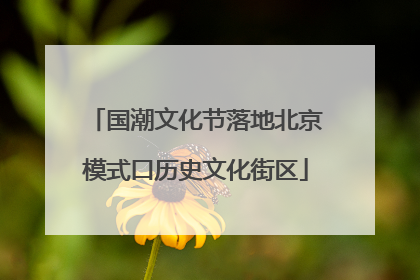 国潮文化节落地北京模式口历史文化街区
