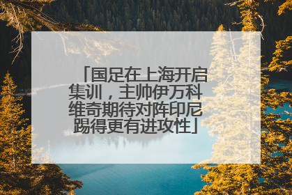 国足在上海开启集训，主帅伊万科维奇期待对阵印尼踢得更有进攻性