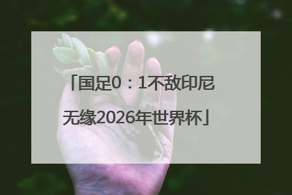 国足0：1不敌印尼 无缘2026年世界杯