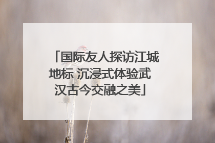 国际友人探访江城地标 沉浸式体验武汉古今交融之美