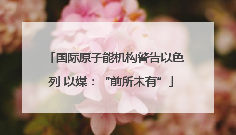 国际原子能机构警告以色列 以媒:“前所未有”