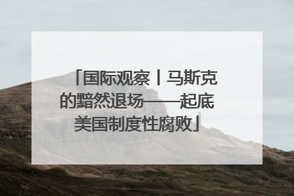 国际观察丨马斯克的黯然退场——起底美国制度性腐败