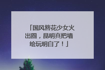 国风簪花少女火出圈，昆明真把墙绘玩明白了！