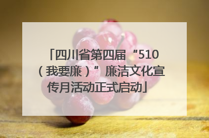 四川省第四届“510(我要廉)”廉洁文化宣传月活动正式启动