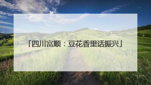 四川富顺：豆花香里话振兴