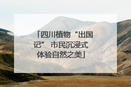 四川植物“出国记” 市民沉浸式体验自然之美
