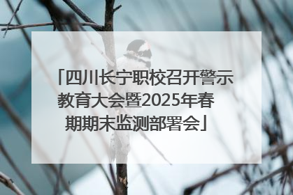 四川长宁职校召开警示教育大会暨2025年春期期末监测部署会
