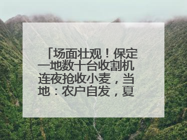 场面壮观！保定一地数十台收割机连夜抢收小麦，当地：农户自发，夏收工作基本完成
