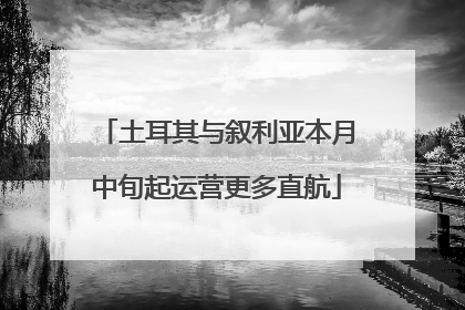 土耳其与叙利亚本月中旬起运营更多直航