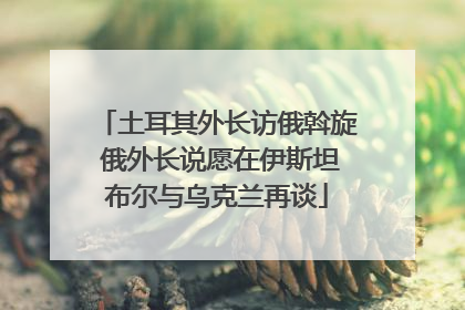 土耳其外长访俄斡旋 俄外长说愿在伊斯坦布尔与乌克兰再谈