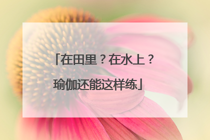 在田里？在水上？瑜伽还能这样练