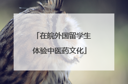 在皖外国留学生体验中医药文化