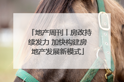 地产周刊丨房改持续发力 加快构建房地产发展新模式