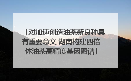 对加速创造油茶新良种具有重要意义 湖南构建四倍体油茶高精度基因图谱