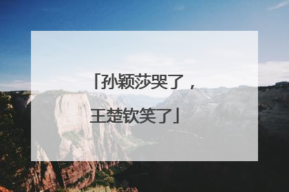 孙颖莎哭了，王楚钦笑了