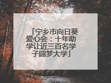 宁乡市向日葵爱心会：十年助学让近三百名学子圆梦大学
