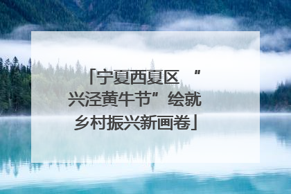 宁夏西夏区 “兴泾黄牛节”绘就乡村振兴新画卷